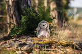 Hedgy Hedgehog (16 cm)